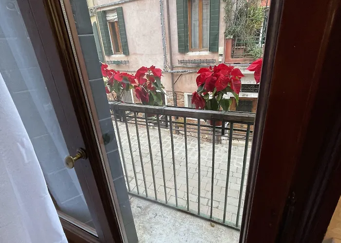 Lions Maison d'hôtes Venise